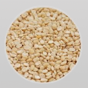 Untitled design (62)