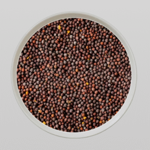 Untitled design (67)