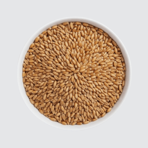 Untitled design (71)